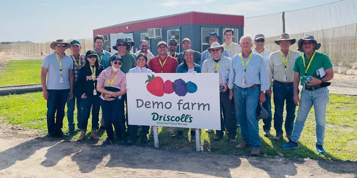 Mirtilli, il colosso americano Driscoll's a Macfrut